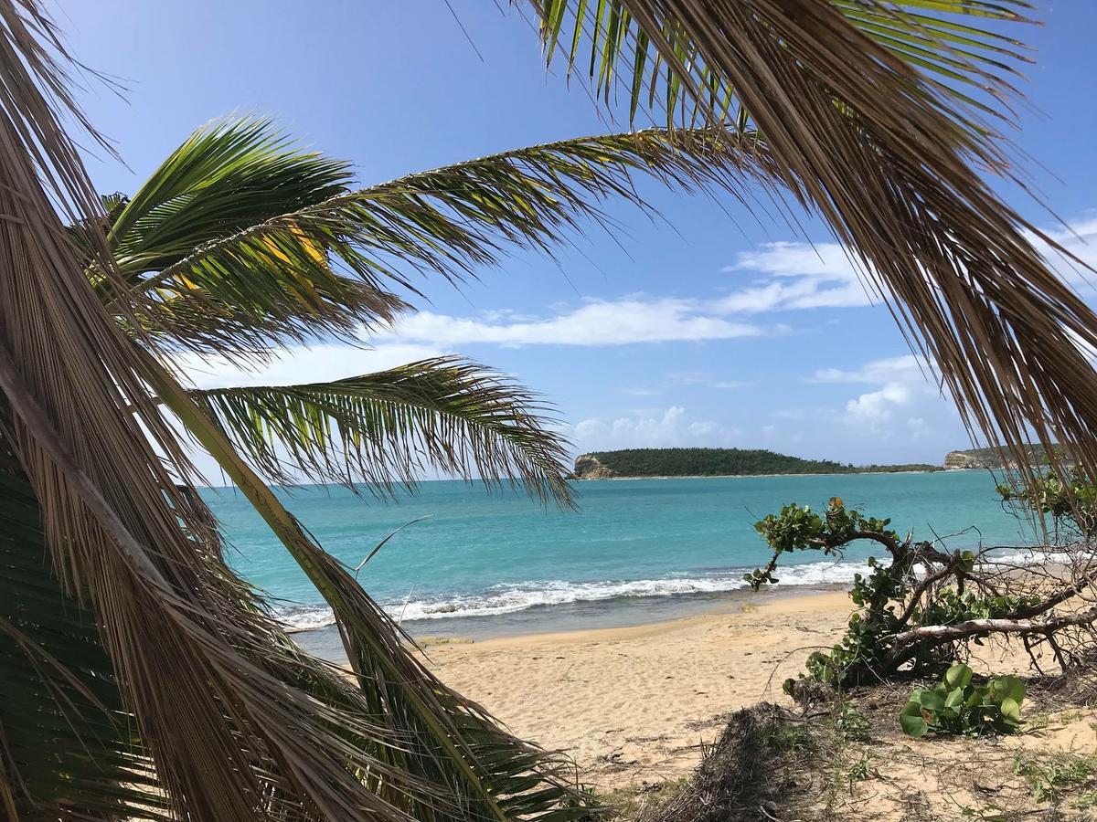 Vieques Good Vibe Guest House Eksteriør bilde