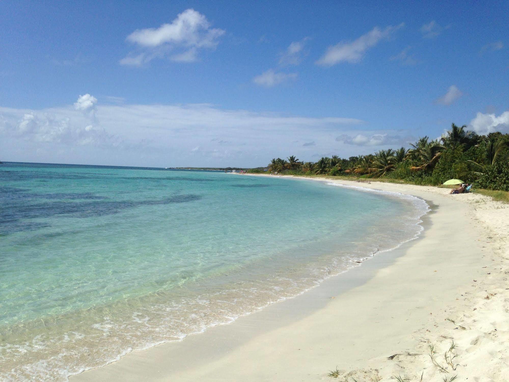 Vieques Good Vibe Guest House Eksteriør bilde